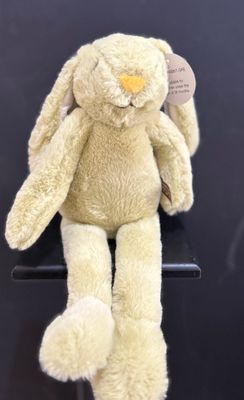 Green Bunny
