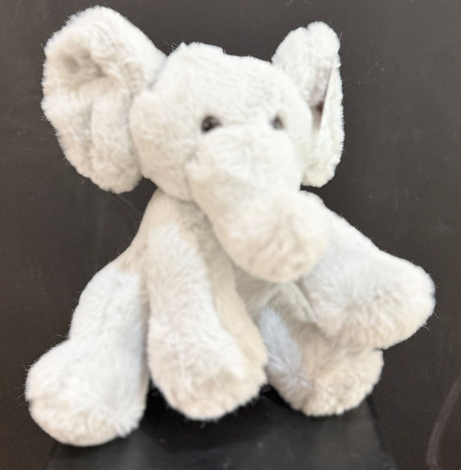 Grey Elephant