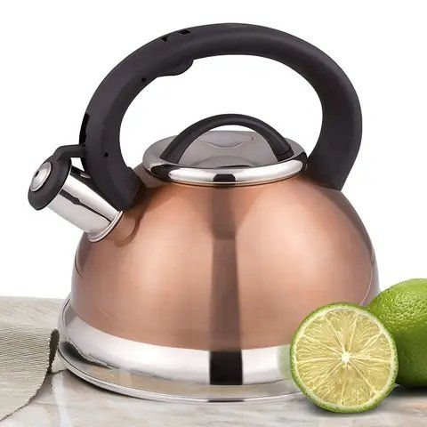Creative stainless steel 3.0L Whistling tea kettle