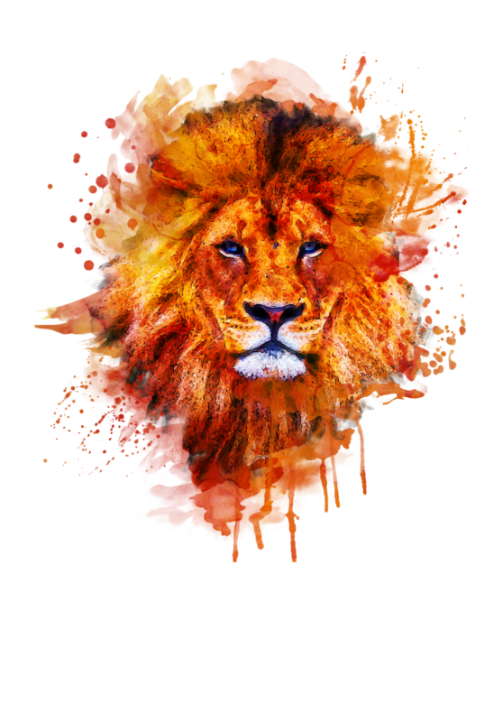 Livingston Lions