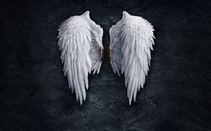 In Loving Memory