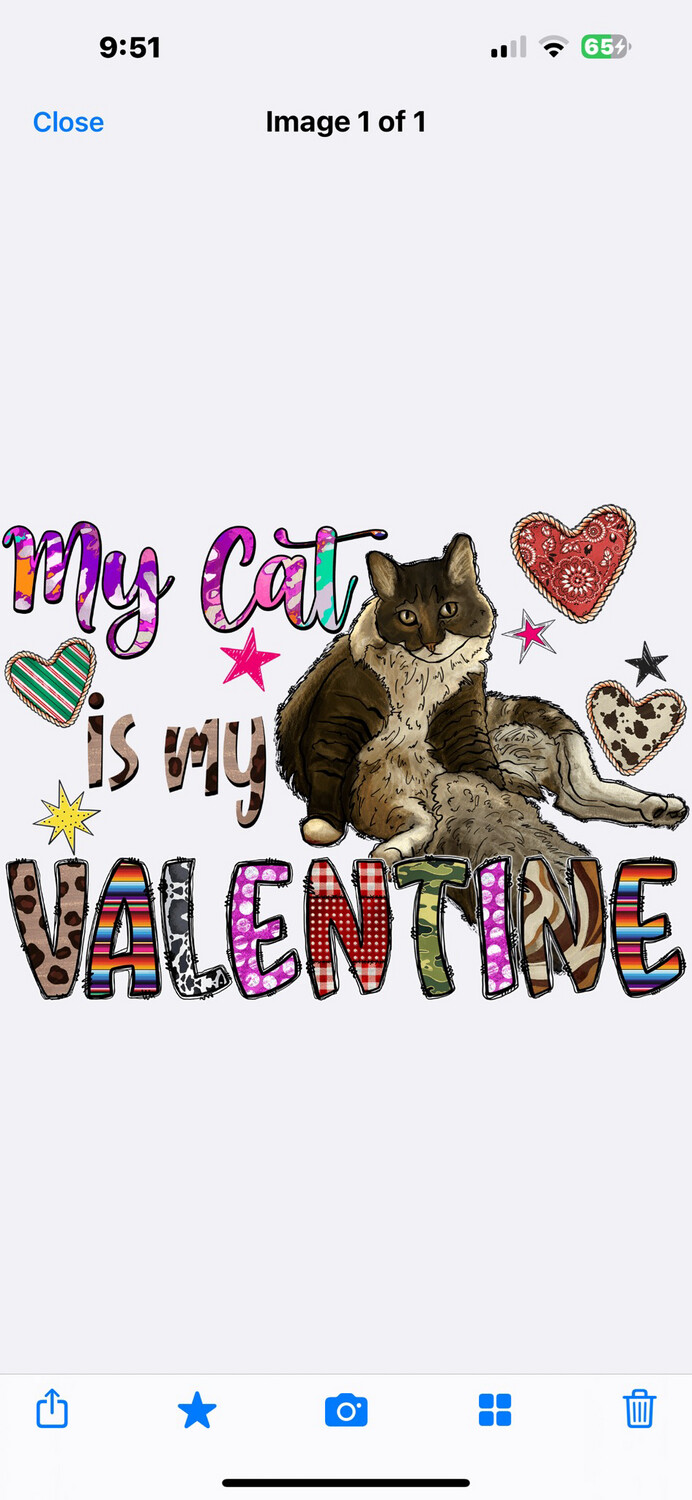 My Cat Is My Valentine- Adult
