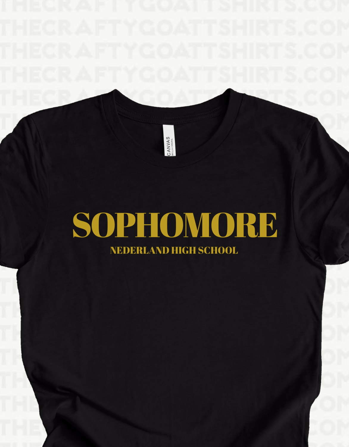 Sophomore Nederland High School-Choose your Class year