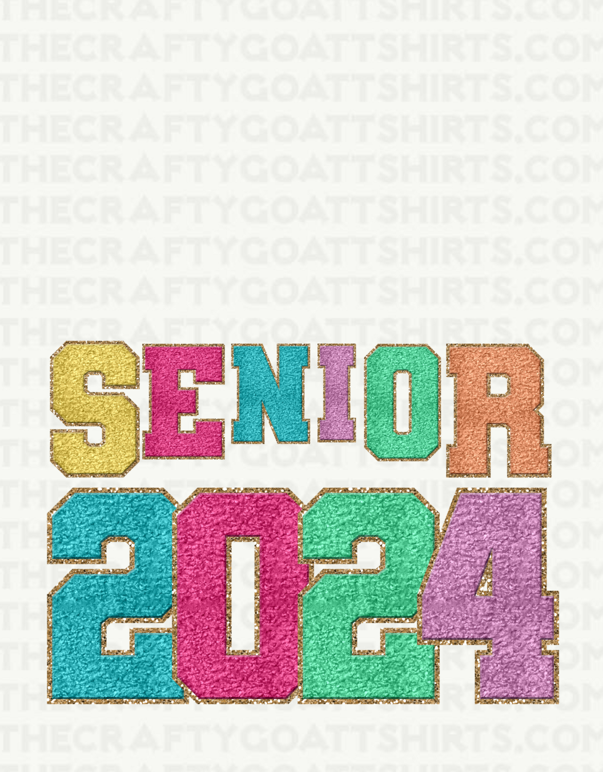 Senior 2024 Colorful Chenille Letters