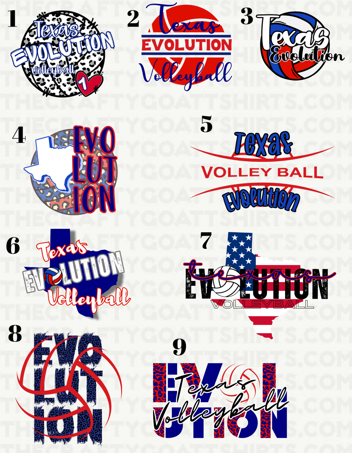 Texas Evolution Volleyball
