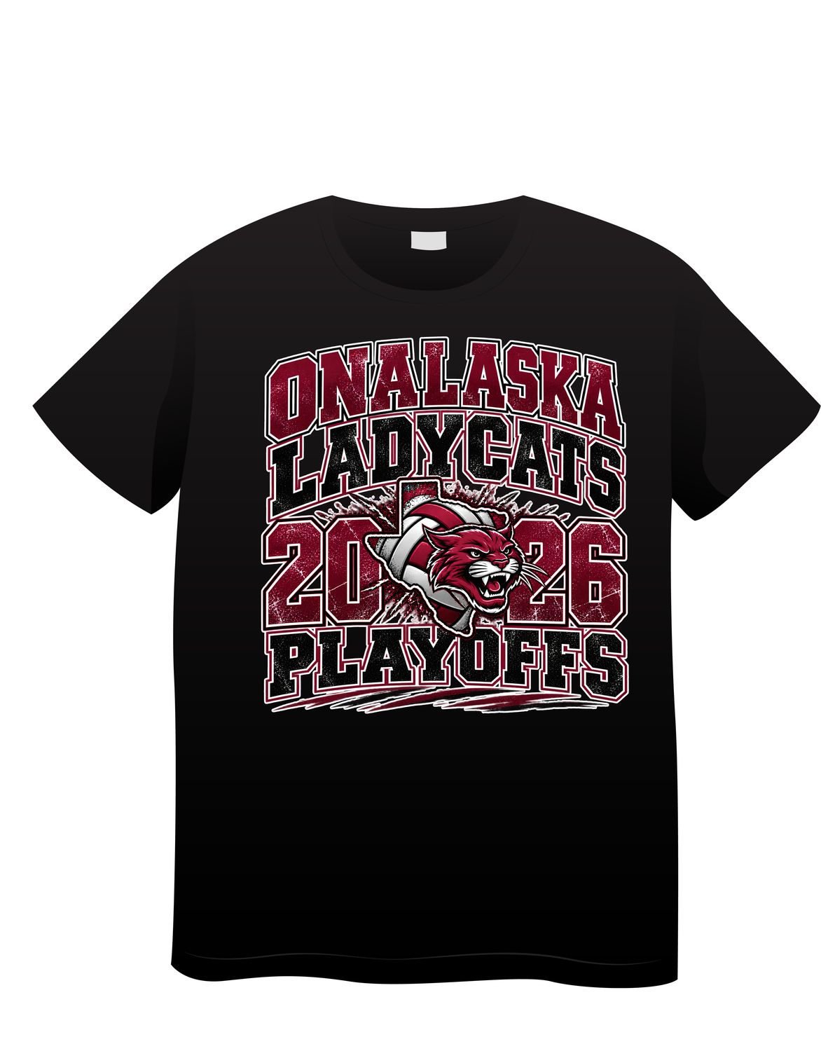 Onalaska Volleyball playoffs 2026