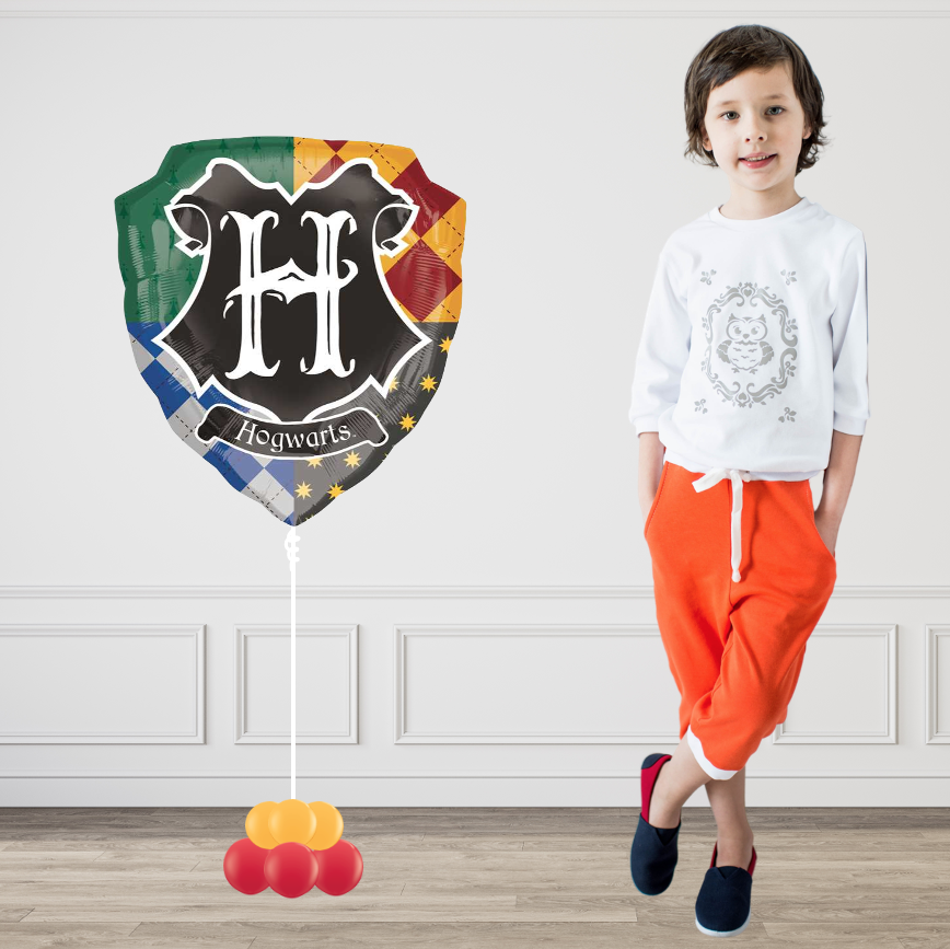 HARRY POTTER HOGWARTS zwevend XL