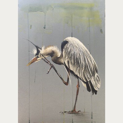 BLAUWE REIGER IN REGEN