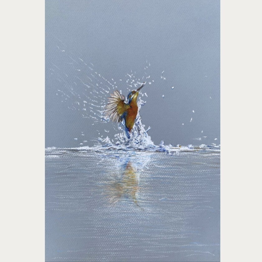 IJSVOGEL SPIEGELING IN WATER