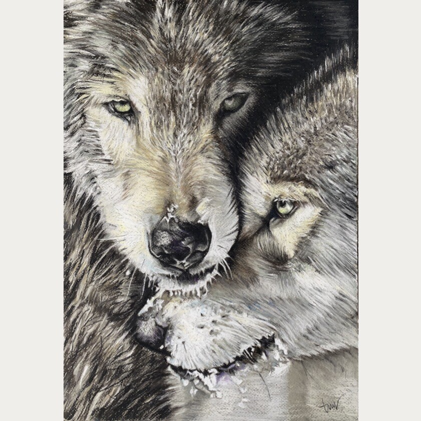WOLVEN