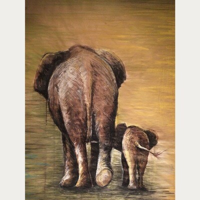 Infant elephant