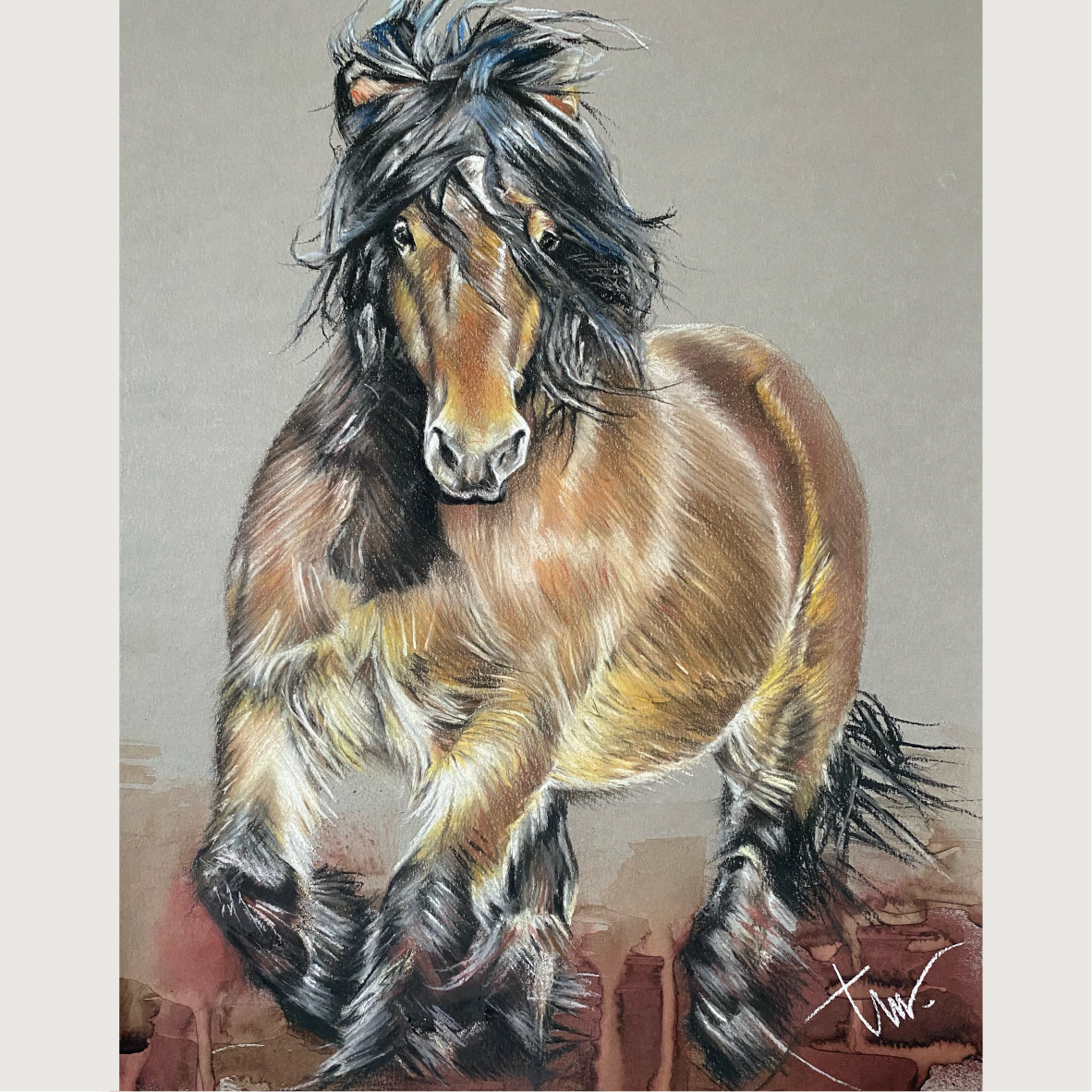BOERENPAARD
