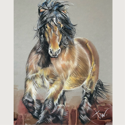 BOERENPAARD