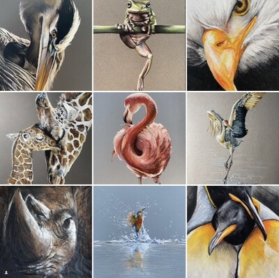 KUNST OP MAAT (afrekening)