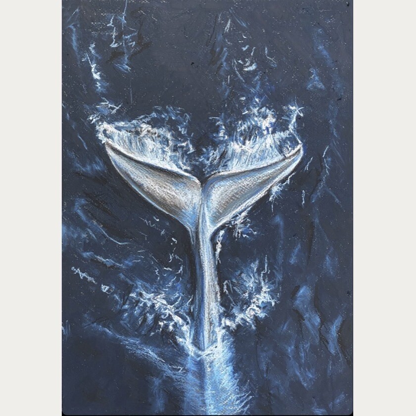 WALVIS