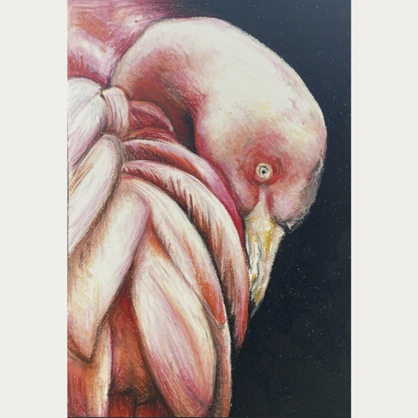 FLAMINGO