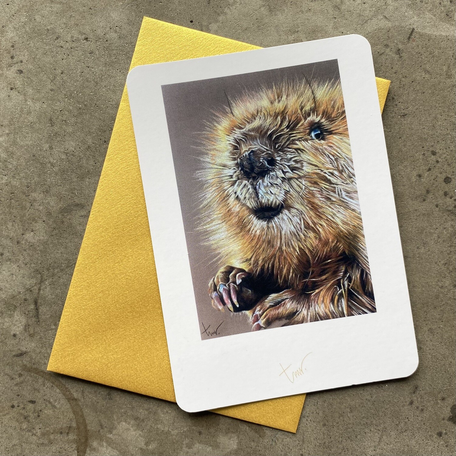 BEVER - BLANCO