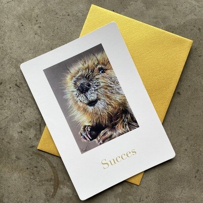 BEVER - SUCCES
