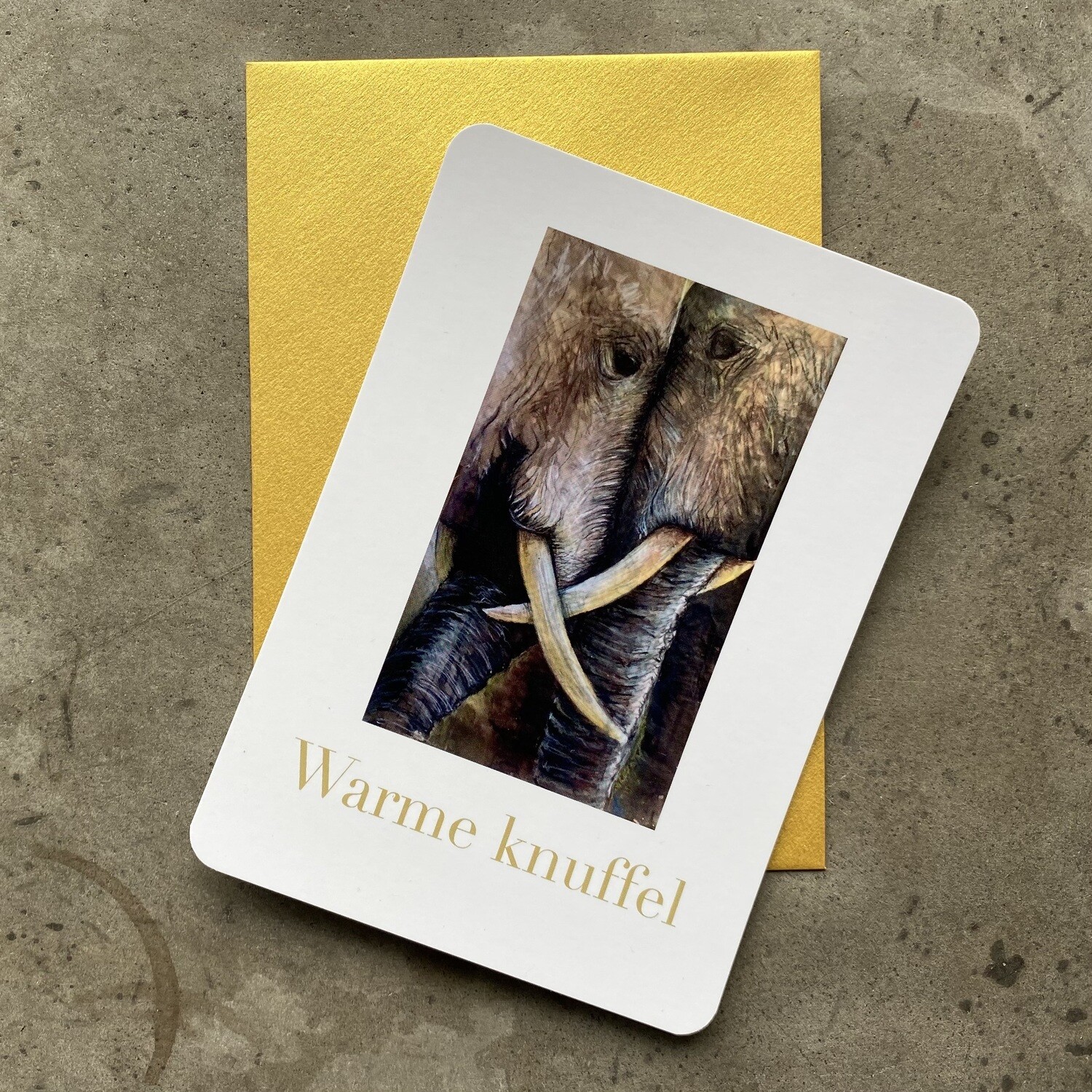 OLIFANTEN - WARME KNUFFEL