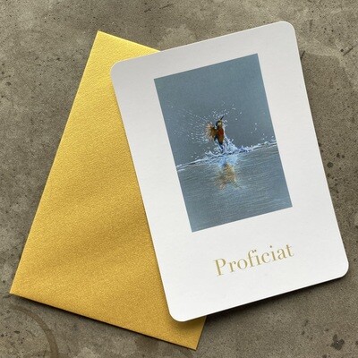 IJSVOGEL - PROFICIAT