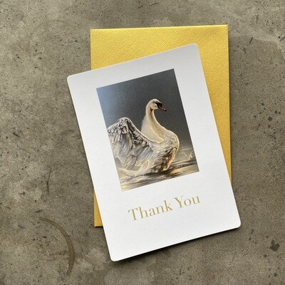 WITTE ZWANEN - THANK YOU