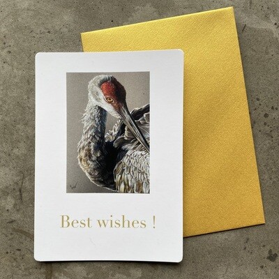 KRAANVOGEL - BEST WISHES!