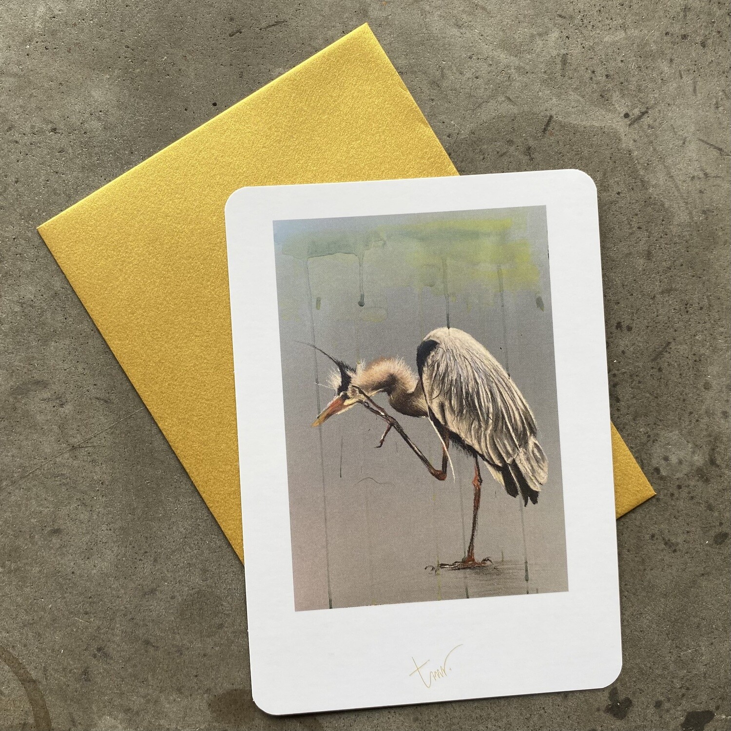 BLAUWE REIGER - BLANCO