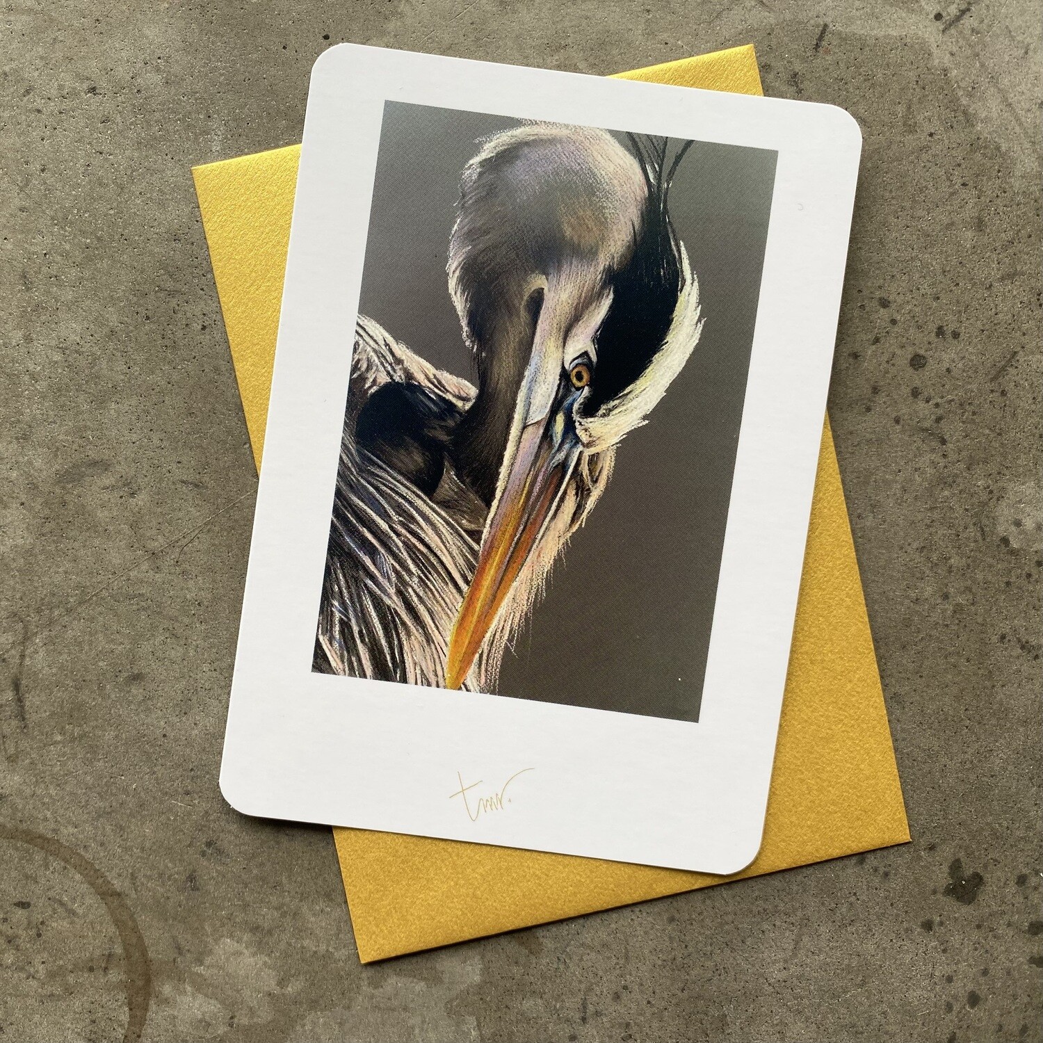 BLAUWE REIGER - BLANCO