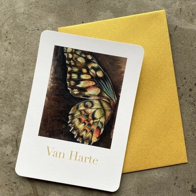 VLINDER - VAN HARTE