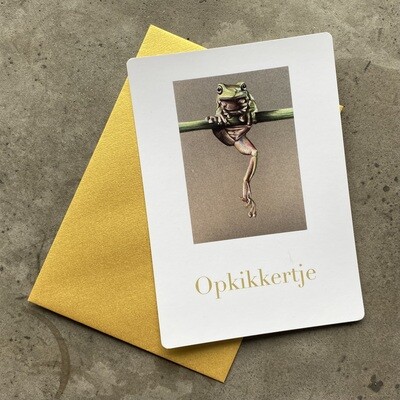 KIKKER - OPKIKKERTJE