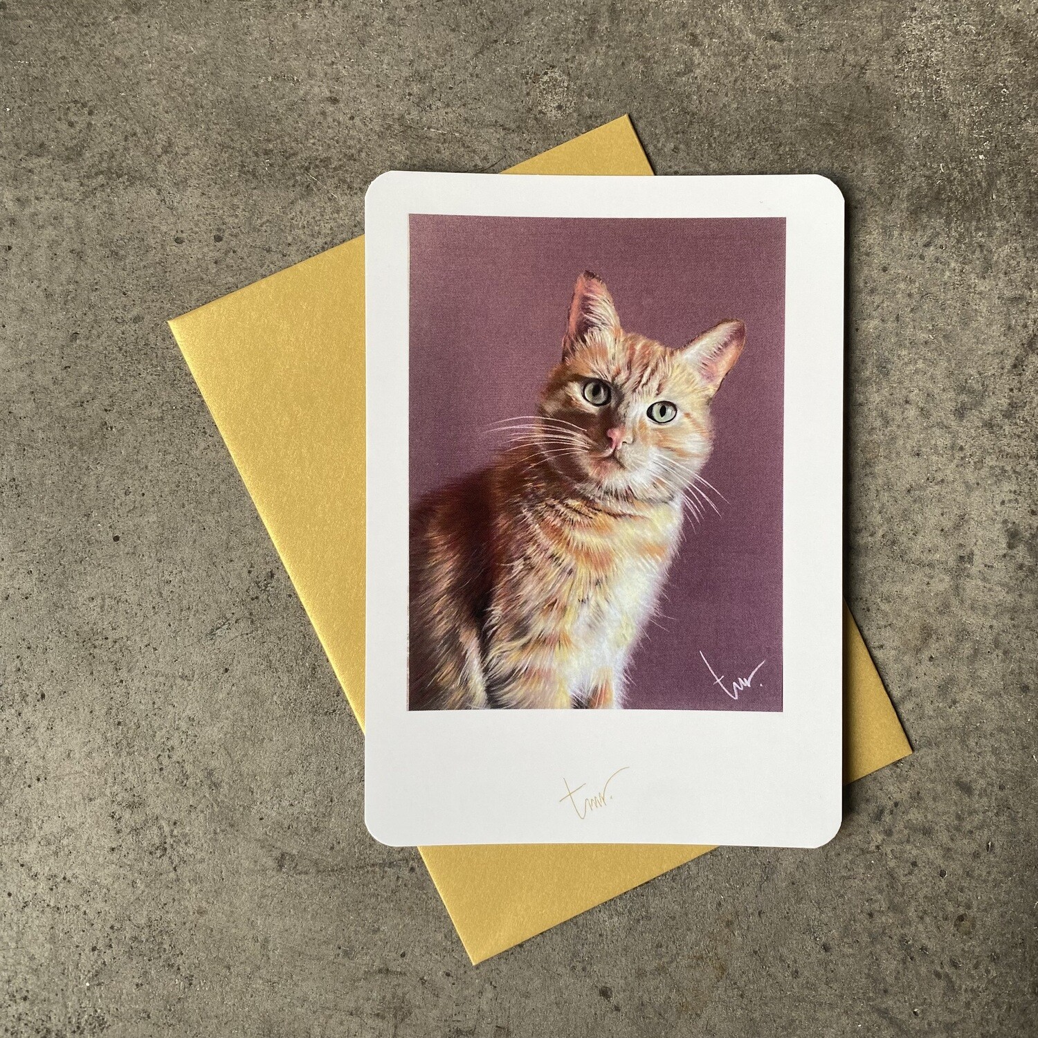 KAT - BLANCO