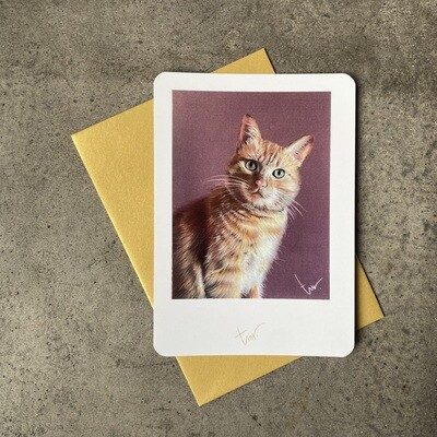 KAT - BLANCO