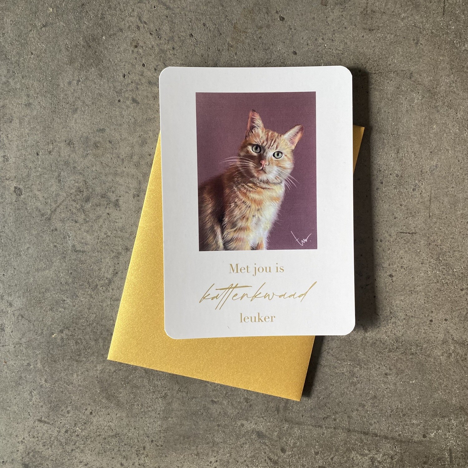 KAT - KATTENKWAAD MET JOU IS LEUKER