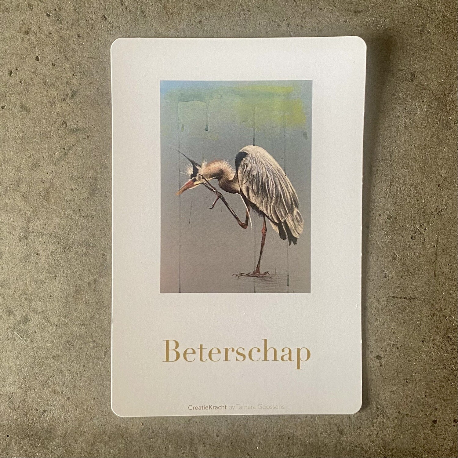 BLAUWE REIGER - BETERSCHAP