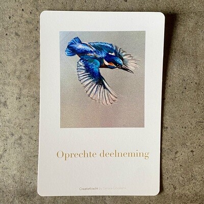 IJSVOGEL - OPRECHTE DEELNEMING