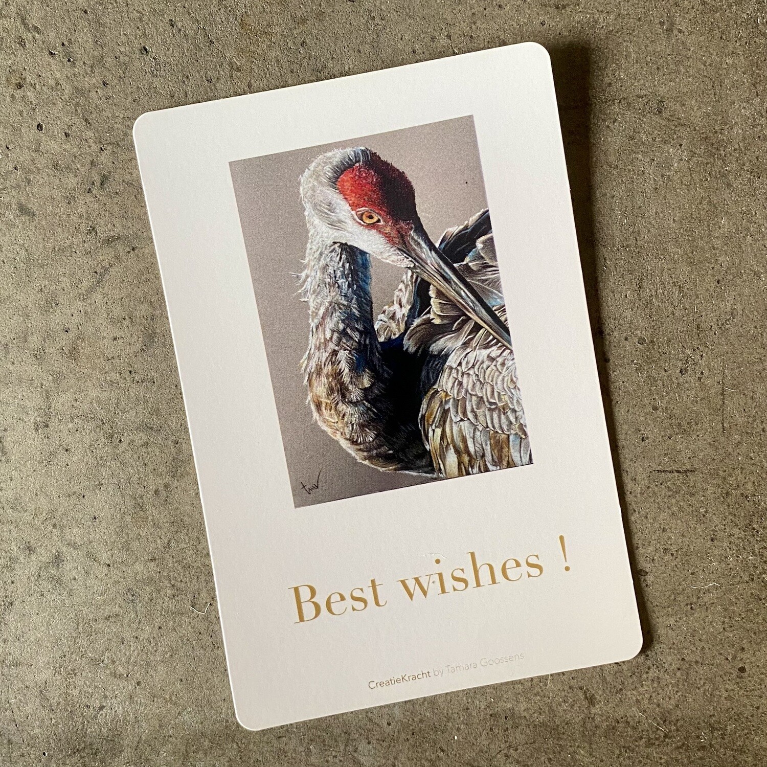 KRAANVOGEL - BEST WISHES!
