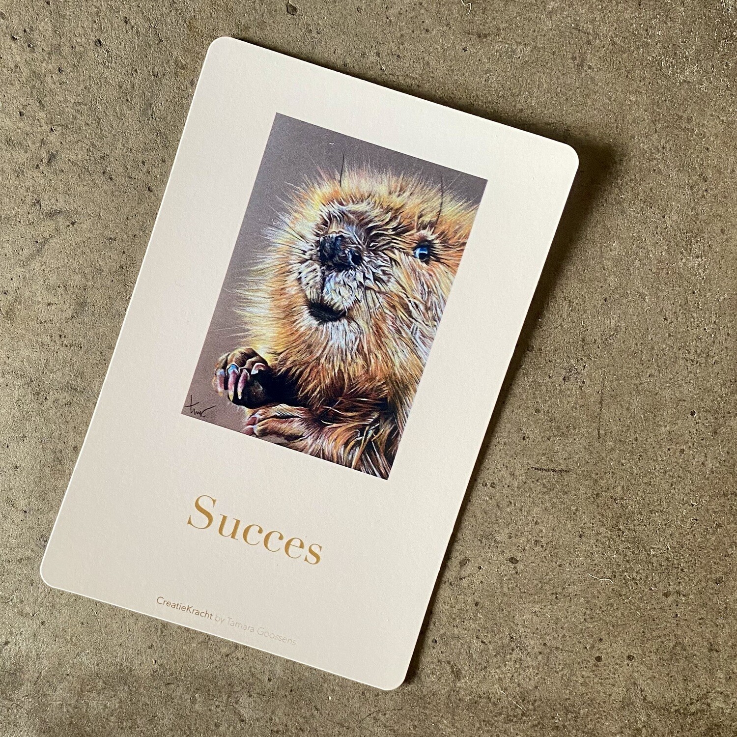 BEVER - SUCCES