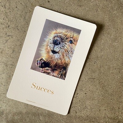 BEVER - SUCCES
