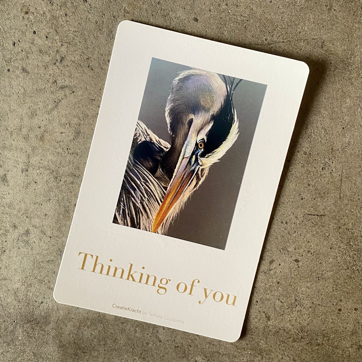 BLAUWE REIGER - THINKING OF YOU