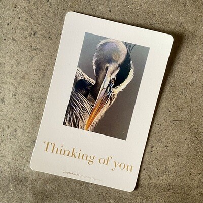 BLAUWE REIGER - THINKING OF YOU