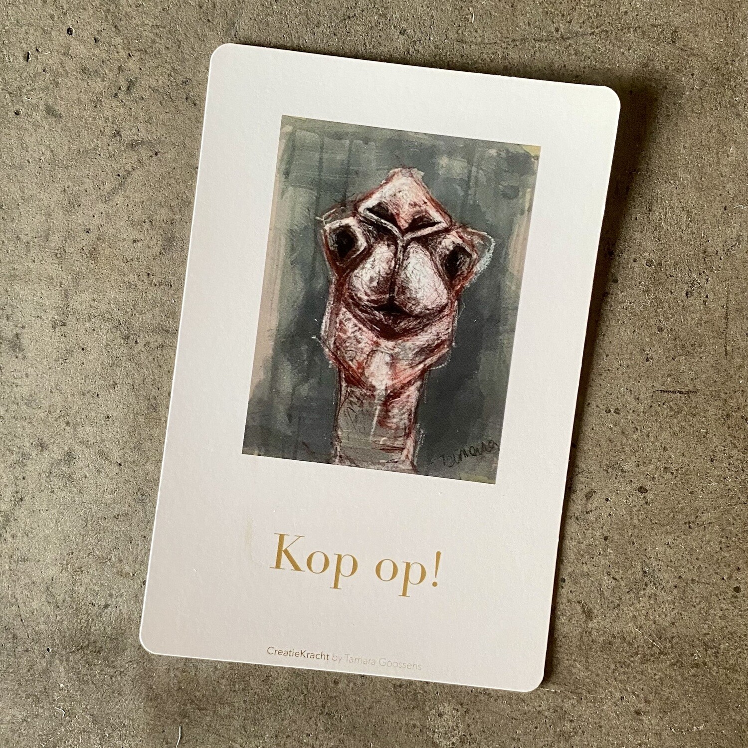 KAMEEL - KOP OP