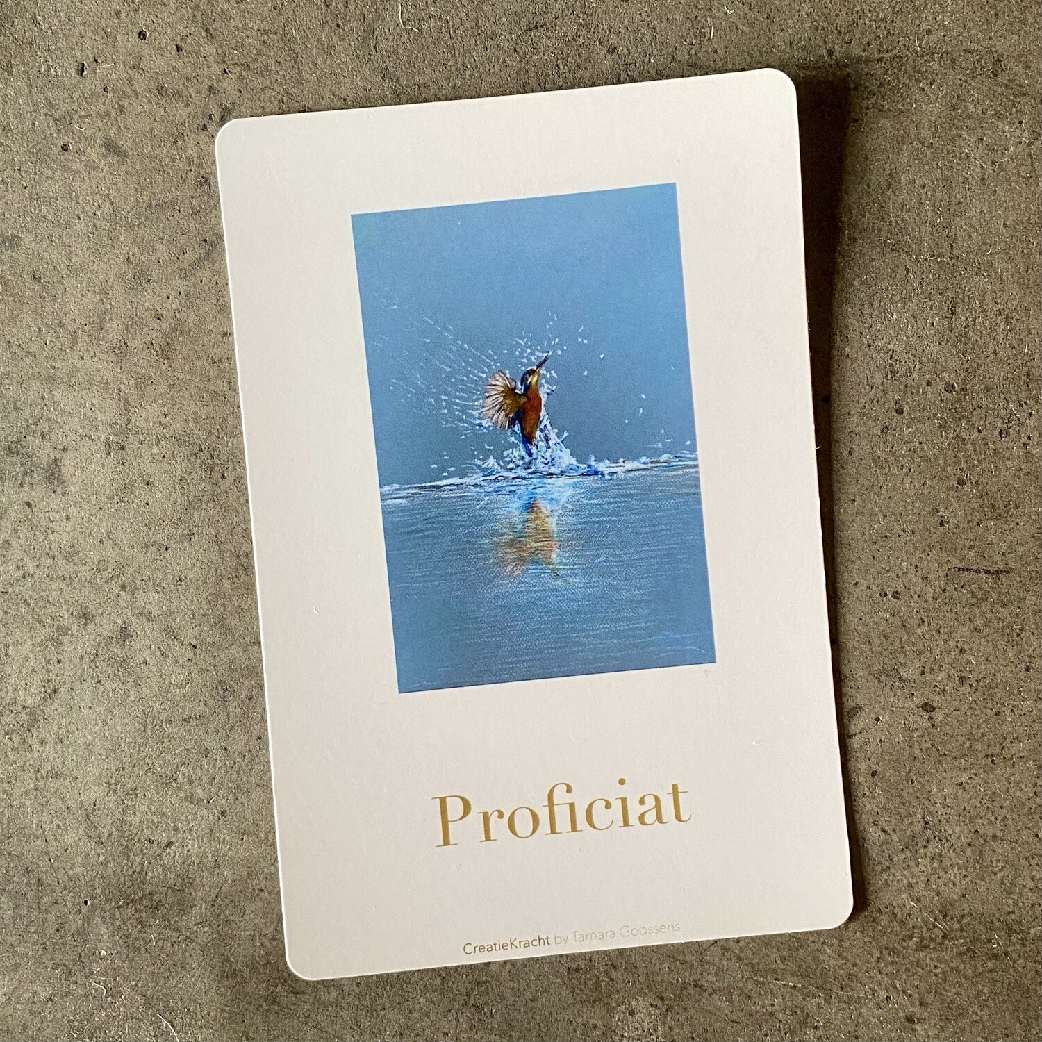 IJSVOGEL - GEFELICITEERD