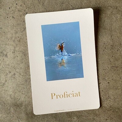 IJSVOGEL - GEFELICITEERD