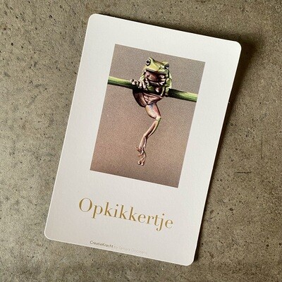KIKKER - OPKIKKERTJE