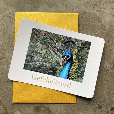 PAUW - GEFELICITEERD