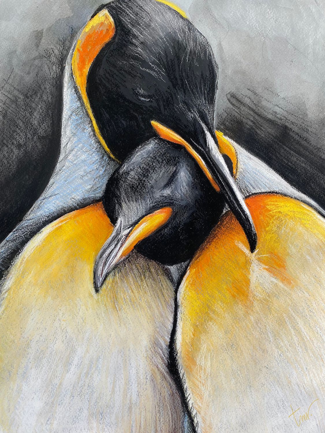 PINGUÏNS  - ALUMINIUM  40x53cm