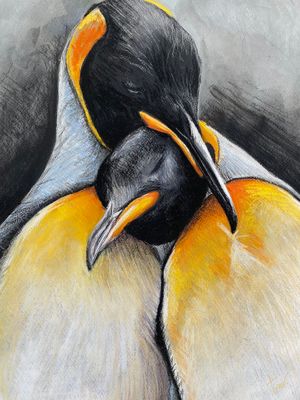 PINGUÏNS  - ALUMINIUM 50x67cm