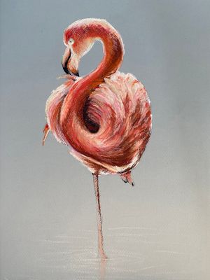FLAMINGO - ACRYLGLAS 50x67cm