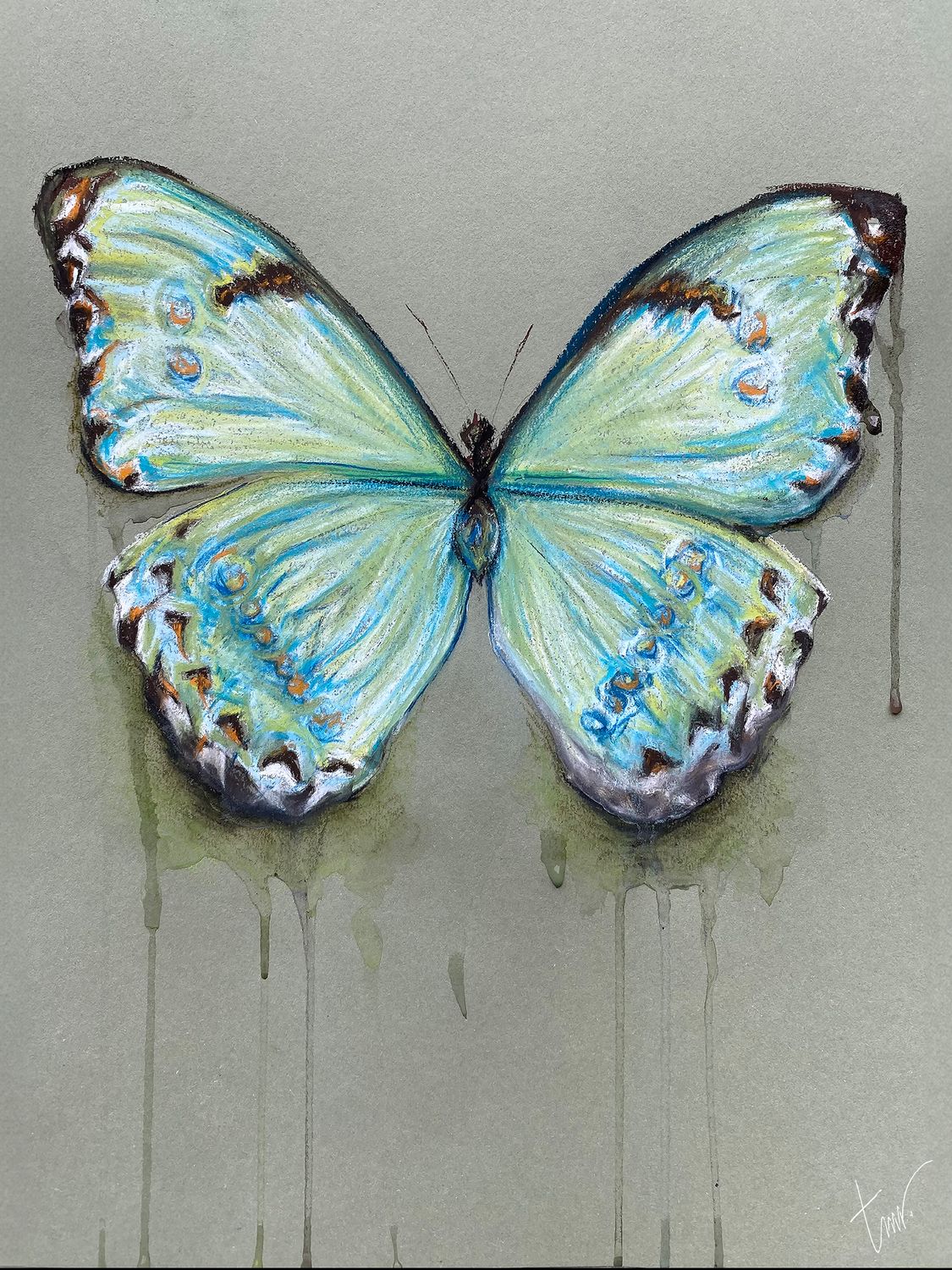 VLINDER - ALUMINIUM  40x53cm