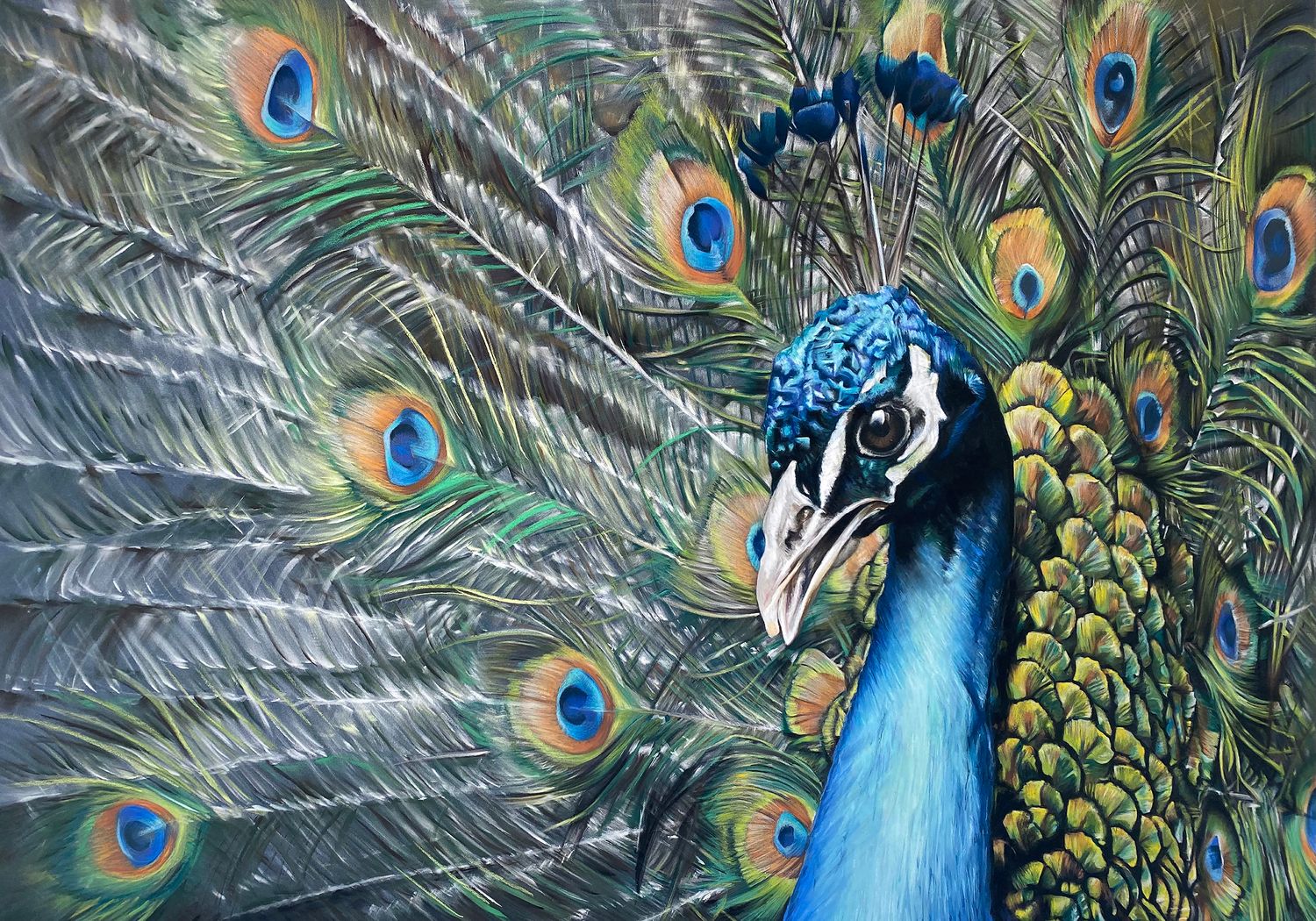 PAUW - CANVAS 30 x 43 cm